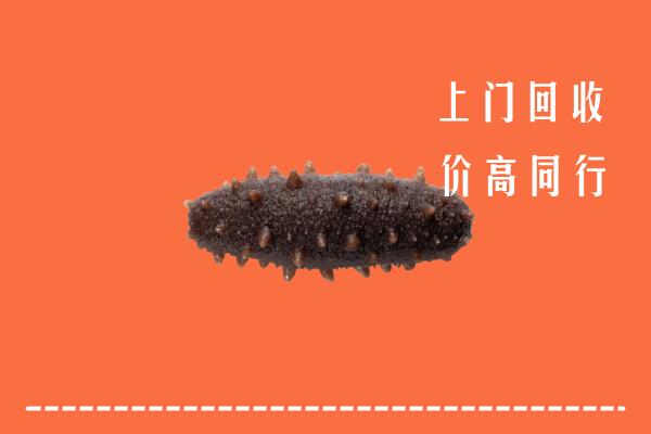 高价求购：西安回收海参